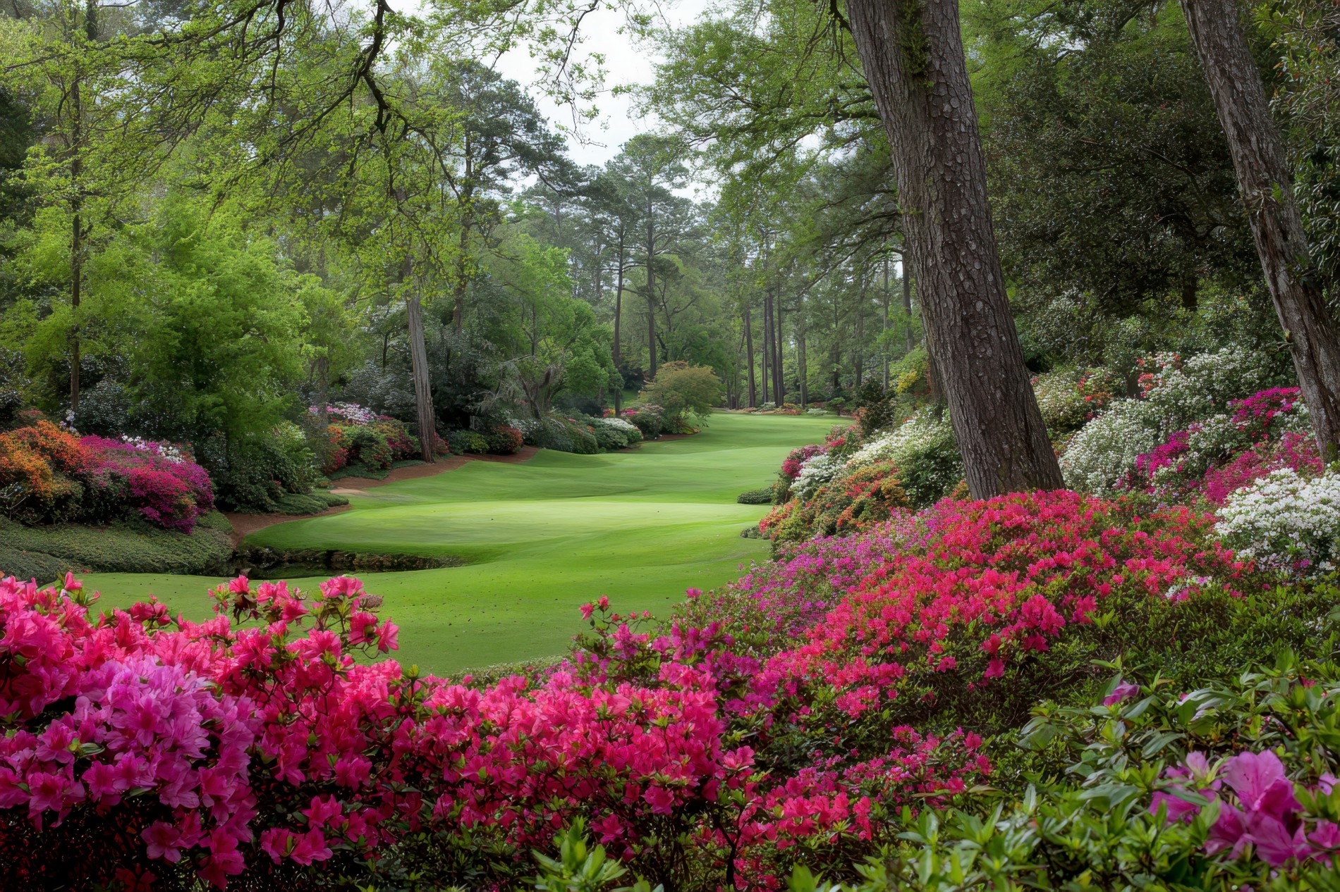 Augusta National Golf Course